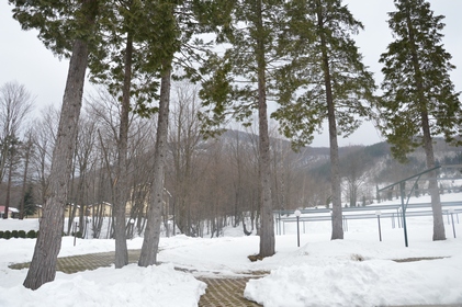 sliven