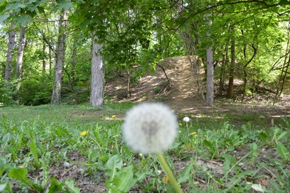 pazardzik